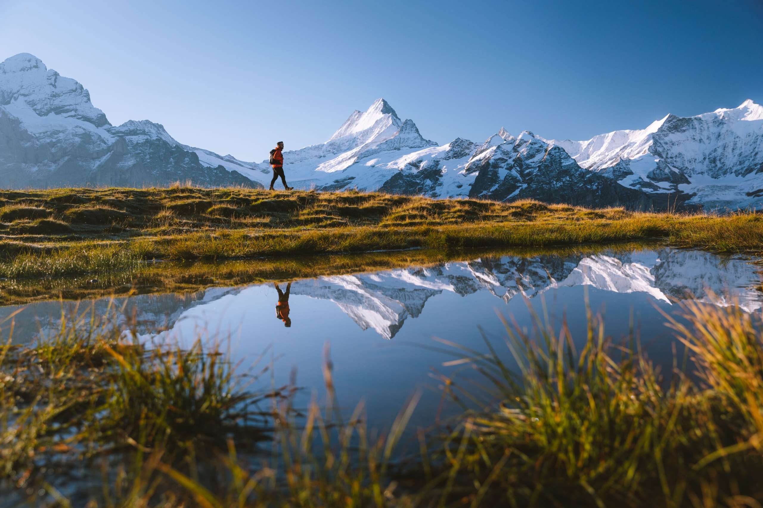 Wanderung beim Bachalpsee Wanderung beim Bachalpsee